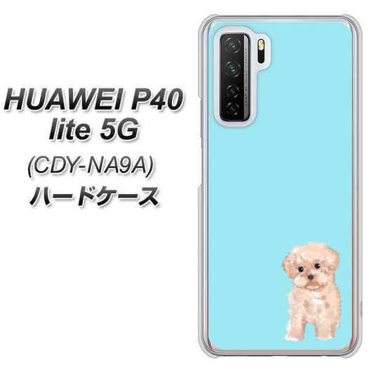 HUAWEI（ファーウェイ） P40 lite 5G CDY-NA9A 高画質仕上げ 背面印刷 ハードケース【YJ062 トイプードルアプリコット（ブルー）】