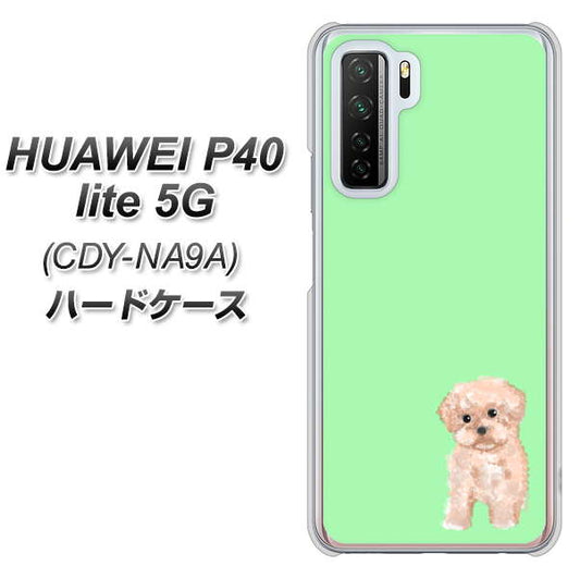 HUAWEI(ファーウェイ) P40 lite 5G CDY-NA9A 高画質仕上げ 背面印刷 ハードケース【YJ063 トイプードルアプリコット(グリーン)】
