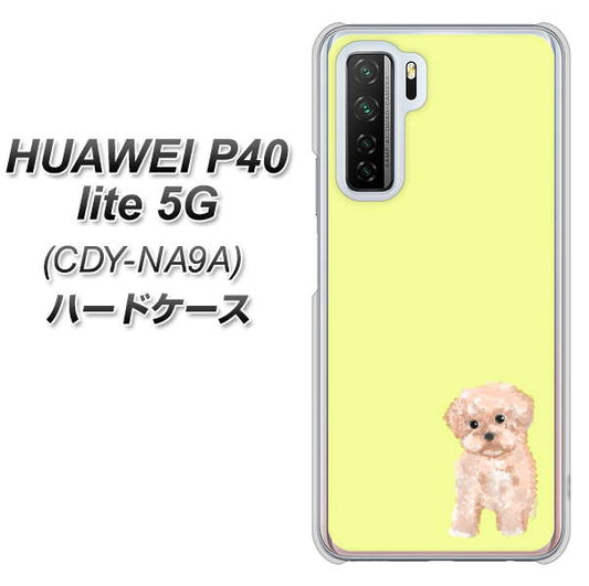 HUAWEI(ファーウェイ) P40 lite 5G CDY-NA9A 高画質仕上げ 背面印刷 ハードケース【YJ064 トイプードルアプリコット(イエロー)】