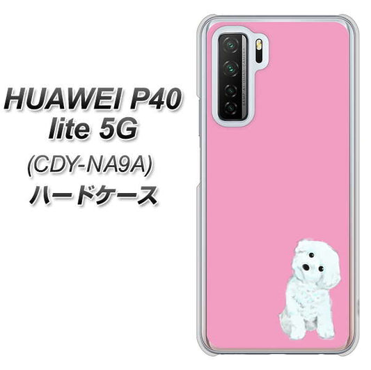 HUAWEI(ファーウェイ) P40 lite 5G CDY-NA9A 高画質仕上げ 背面印刷 ハードケース【YJ069 トイプードルホワイト(ピンク)】