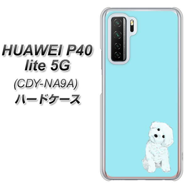 HUAWEI(ファーウェイ) P40 lite 5G CDY-NA9A 高画質仕上げ 背面印刷 ハードケース【YJ070 トイプードルホワイト(ブルー)】