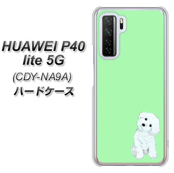 HUAWEI（ファーウェイ） P40 lite 5G CDY-NA9A 高画質仕上げ 背面印刷 ハードケース【YJ071 トイプードルホワイト（グリーン）】