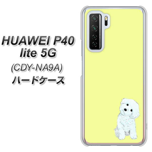 HUAWEI(ファーウェイ) P40 lite 5G CDY-NA9A 高画質仕上げ 背面印刷 ハードケース【YJ072 トイプードルホワイト(イエロー)】