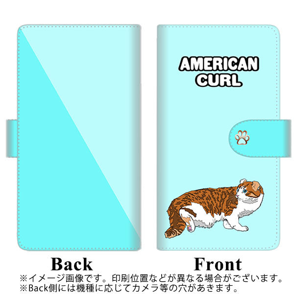 au ギャラクシーS20+ SCG02 高画質仕上げ プリント手帳型ケース(通常型)【YE971 アメリカンカール02】