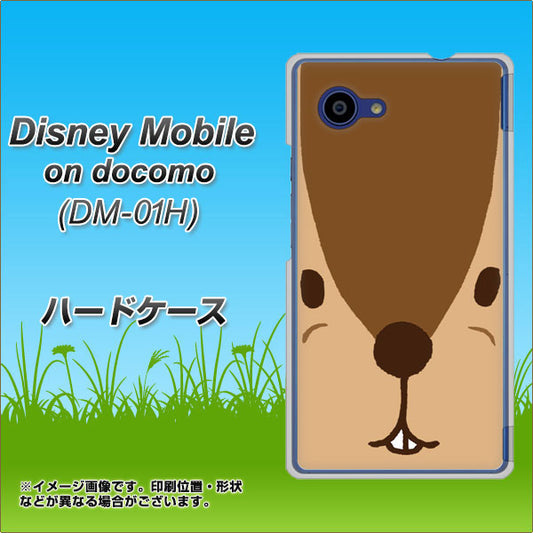 docomo ディズニーモバイル DM-01H 高画質仕上げ 背面印刷 ハードケース【349 りす】