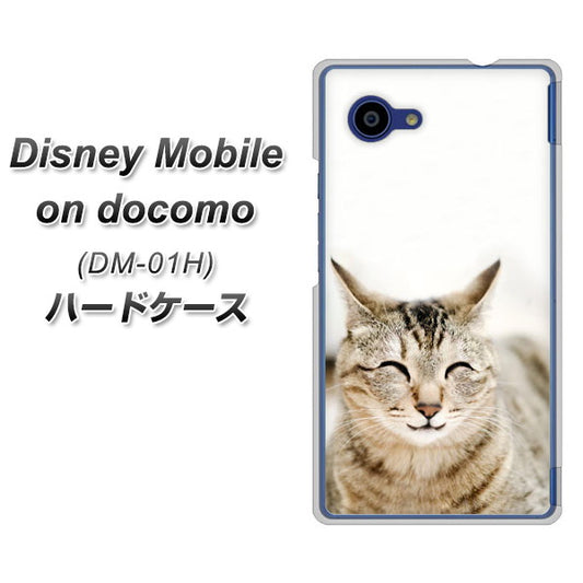 docomo ディズニーモバイル DM-01H 高画質仕上げ 背面印刷 ハードケース【VA801 笑福ねこ】