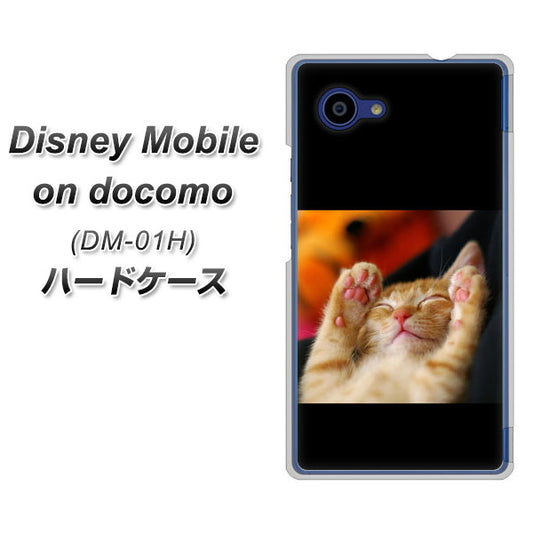 docomo ディズニーモバイル DM-01H 高画質仕上げ 背面印刷 ハードケース【VA804 爆睡するネコ】