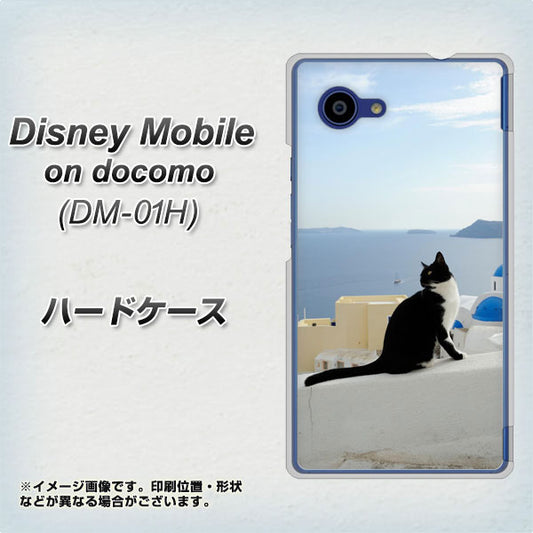 docomo ディズニーモバイル DM-01H 高画質仕上げ 背面印刷 ハードケース【VA805 ネコと地中海】