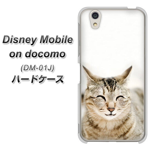 docomo ディズニーモバイル DM-01J 高画質仕上げ 背面印刷 ハードケース【VA801 笑福ねこ】