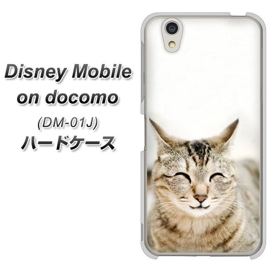 docomo ディズニーモバイル DM-01J 高画質仕上げ 背面印刷 ハードケース【VA801 笑福ねこ】