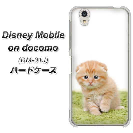 docomo ディズニーモバイル DM-01J 高画質仕上げ 背面印刷 ハードケース【VA802 ネコこっそり】