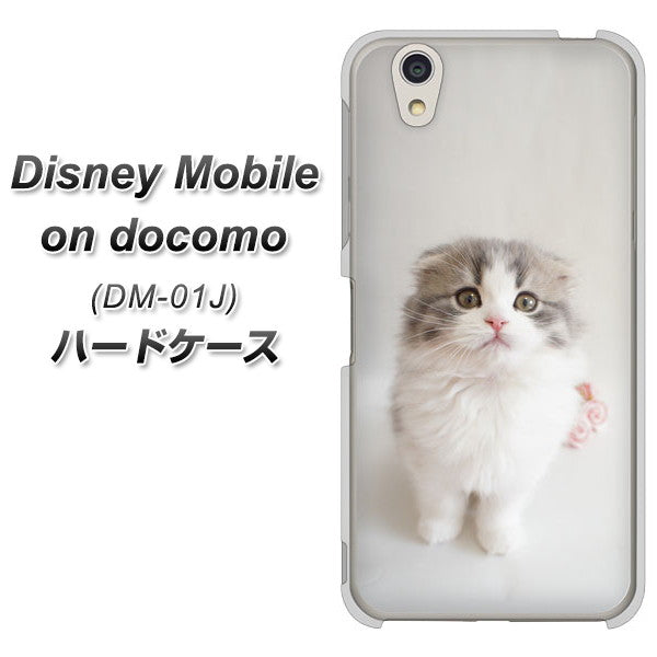 docomo ディズニーモバイル DM-01J 高画質仕上げ 背面印刷 ハードケース【VA803 まっていますネコ】