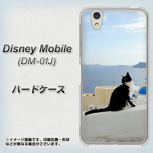 docomo ディズニーモバイル DM-01J 高画質仕上げ 背面印刷 ハードケース【VA805 ネコと地中海】