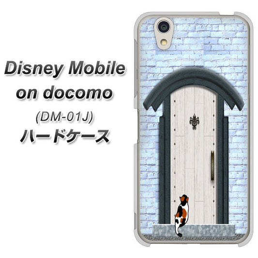 docomo ディズニーモバイル DM-01J 高画質仕上げ 背面印刷 ハードケース【YA951 石ドア01】
