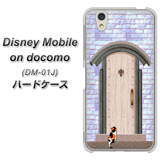 docomo ディズニーモバイル DM-01J 高画質仕上げ 背面印刷 ハードケース【YA952 石ドア02 素材クリア】