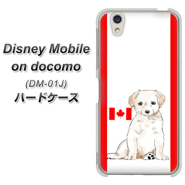 docomo ディズニーモバイル DM-01J 高画質仕上げ 背面印刷 ハードケース【YD824 ラブラドールレトリバー05】