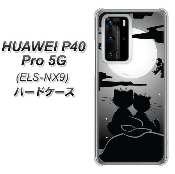 HUAWEI(ファーウェイ) P40 Pro 5G ELS-NX9 高画質仕上げ 背面印刷 ハードケース【342 月夜の二人】