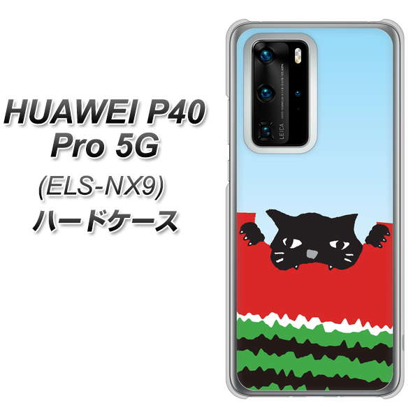 HUAWEI(ファーウェイ) P40 Pro 5G ELS-NX9 高画質仕上げ 背面印刷 ハードケース【IA815 すいかをかじるネコ(大)】