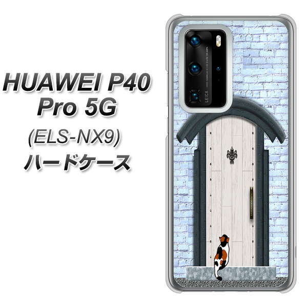 HUAWEI(ファーウェイ) P40 Pro 5G ELS-NX9 高画質仕上げ 背面印刷 ハードケース【YA951 石ドア01】