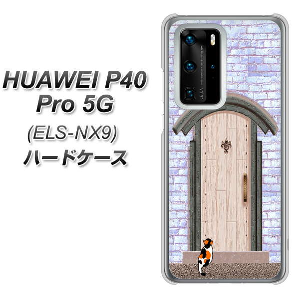 HUAWEI(ファーウェイ) P40 Pro 5G ELS-NX9 高画質仕上げ 背面印刷 ハードケース【YA952 石ドア02 素材クリア】