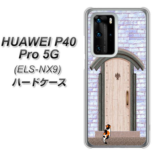 HUAWEI(ファーウェイ) P40 Pro 5G ELS-NX9 高画質仕上げ 背面印刷 ハードケース【YA952 石ドア02 素材クリア】
