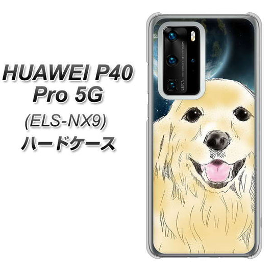 HUAWEI(ファーウェイ) P40 Pro 5G ELS-NX9 高画質仕上げ 背面印刷 ハードケース【YD826 ゴールデンレトリバー02】