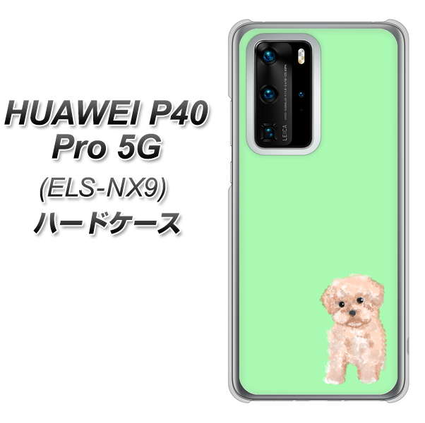 HUAWEI(ファーウェイ) P40 Pro 5G ELS-NX9 高画質仕上げ 背面印刷 ハードケース【YJ063 トイプードルアプリコット(グリーン)】