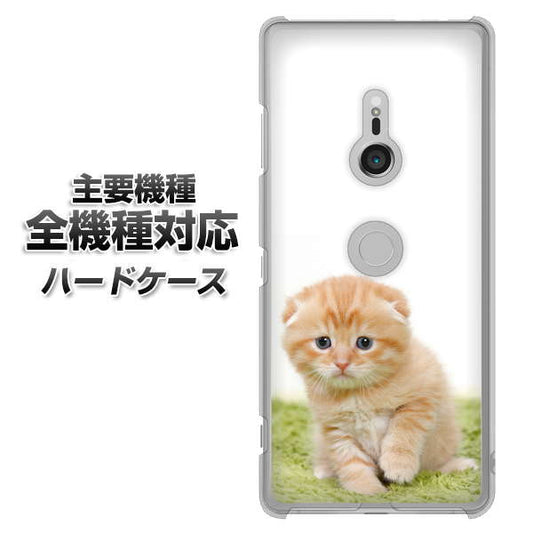 iPhone7 高画質仕上げ 背面印刷 ハードケース【VA802 ネコこっそり】