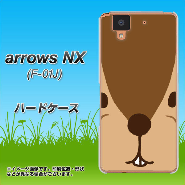 docomo アローズ NX F-01J 高画質仕上げ 背面印刷 ハードケース【349 りす】