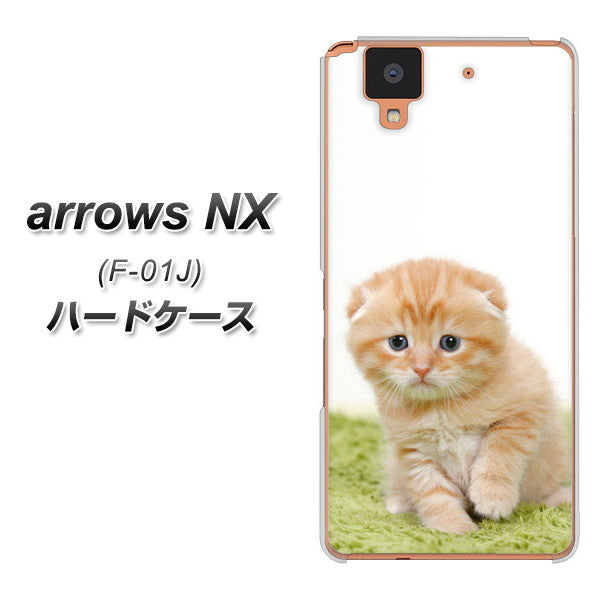 docomo アローズ NX F-01J 高画質仕上げ 背面印刷 ハードケース【VA802 ネコこっそり】
