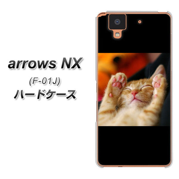 docomo アローズ NX F-01J 高画質仕上げ 背面印刷 ハードケース【VA804 爆睡するネコ】