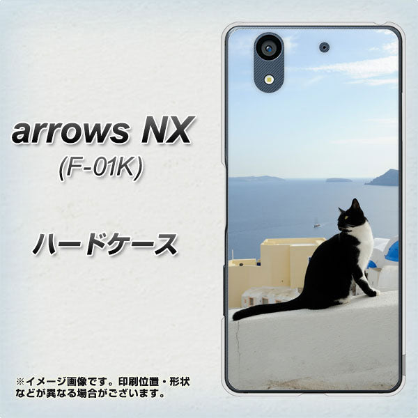 docomo アローズ NX F-01K 高画質仕上げ 背面印刷 ハードケース【VA805 ネコと地中海】