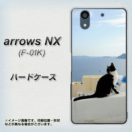 docomo アローズ NX F-01K 高画質仕上げ 背面印刷 ハードケース【VA805 ネコと地中海】