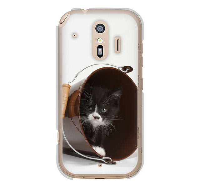 らくらくスマートフォン me F-01L docomo 高画質仕上げ 背面印刷 ハードケース 【VA800 ネコとバケツ】