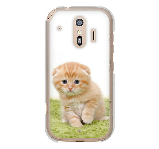 らくらくスマートフォン me F-01L docomo 高画質仕上げ 背面印刷 ハードケース 【VA802 ネコこっそり】