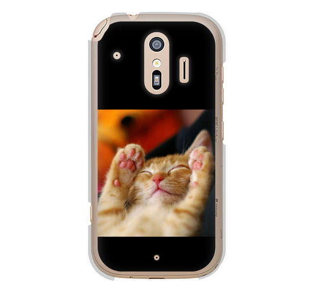 らくらくスマートフォン me F-01L docomo 高画質仕上げ 背面印刷 ハードケース 【VA804 爆睡するネコ】