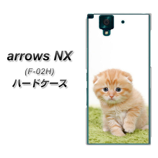 docomo アローズNX F-02H 高画質仕上げ 背面印刷 ハードケース【VA802 ネコこっそり】