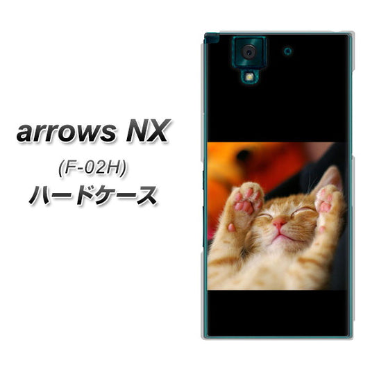 docomo アローズNX F-02H 高画質仕上げ 背面印刷 ハードケース【VA804 爆睡するネコ】
