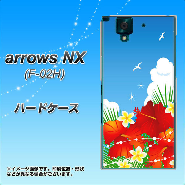 docomo アローズNX F-02H 高画質仕上げ 背面印刷 ハードケース【VA821 ハイビスカスと青空】