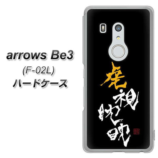 docomo アローズ ビー3 F-02L 高画質仕上げ 背面印刷 ハードケース【OE803 虎視眈々】