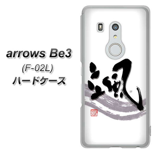 docomo アローズ ビー3 F-02L 高画質仕上げ 背面印刷 ハードケース【OE827 颯】