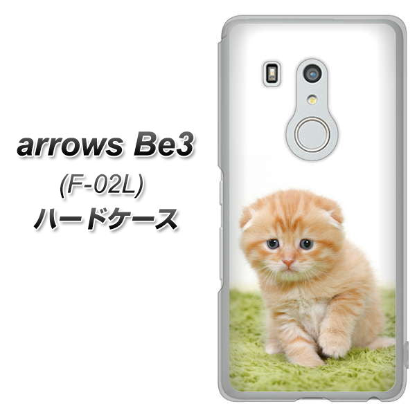docomo アローズ ビー3 F-02L 高画質仕上げ 背面印刷 ハードケース【VA802 ネコこっそり】