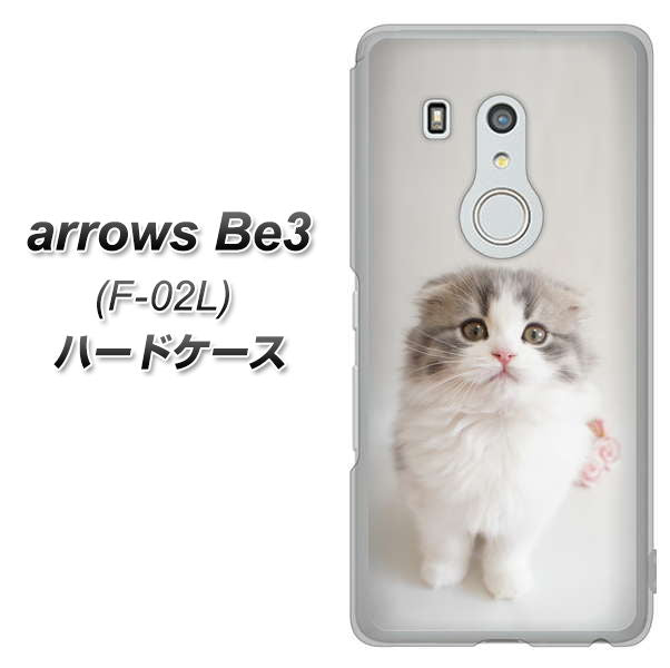 docomo アローズ ビー3 F-02L 高画質仕上げ 背面印刷 ハードケース【VA803 まっていますネコ】