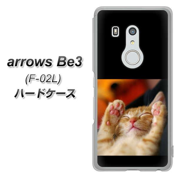 docomo アローズ ビー3 F-02L 高画質仕上げ 背面印刷 ハードケース【VA804 爆睡するネコ】
