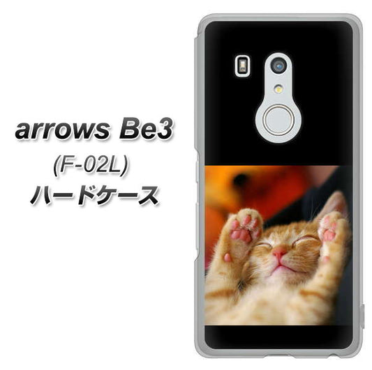 docomo アローズ ビー3 F-02L 高画質仕上げ 背面印刷 ハードケース【VA804 爆睡するネコ】