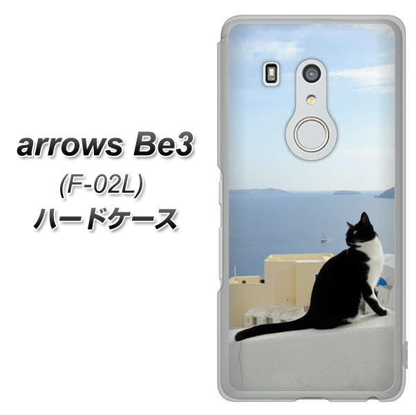 docomo アローズ ビー3 F-02L 高画質仕上げ 背面印刷 ハードケース【VA805 ネコと地中海】