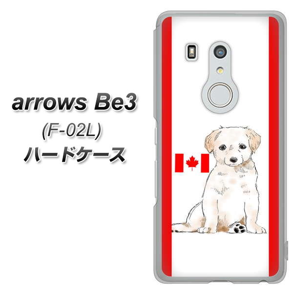 docomo アローズ ビー3 F-02L 高画質仕上げ 背面印刷 ハードケース【YD824 ラブラドールレトリバー05】