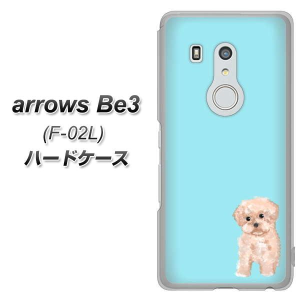 docomo アローズ ビー3 F-02L 高画質仕上げ 背面印刷 ハードケース【YJ062 トイプードルアプリコット(ブルー)】