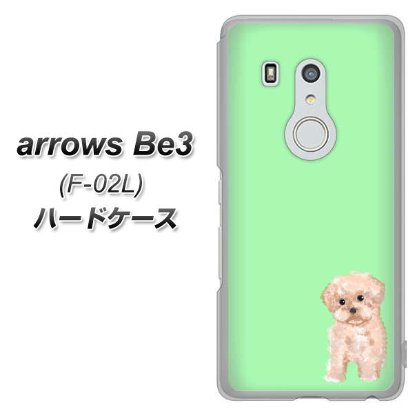 docomo アローズ ビー3 F-02L 高画質仕上げ 背面印刷 ハードケース【YJ063 トイプードルアプリコット(グリーン)】