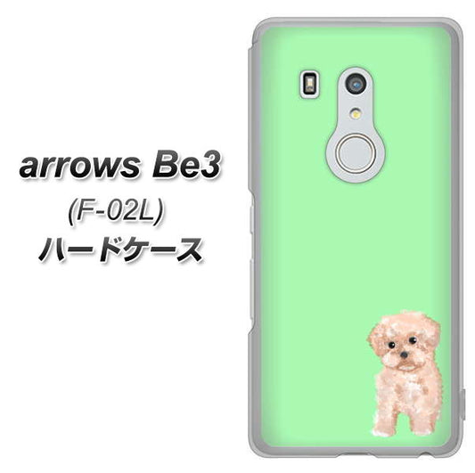 docomo アローズ ビー3 F-02L 高画質仕上げ 背面印刷 ハードケース【YJ063 トイプードルアプリコット(グリーン)】
